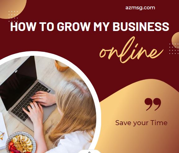 grow my business online